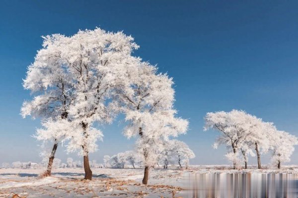 体育游戏app平台漫无尽头的雪原迷茫清朗-Kaiyun网页版·「中国」开云官方网站 登录入口
